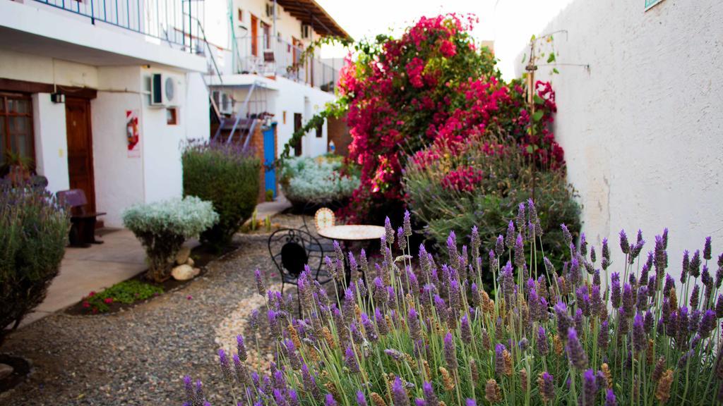 Divina Presencia Hotel Cafayate Bagian luar foto